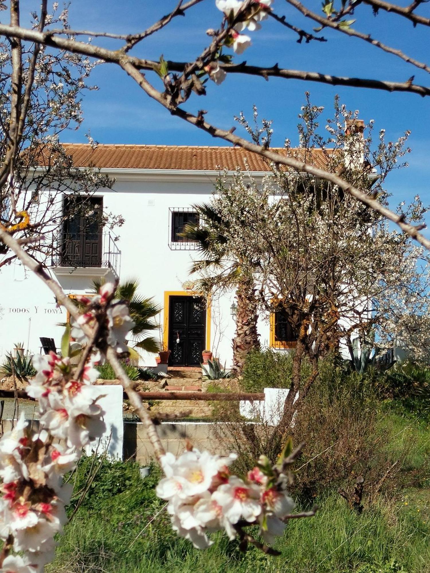 Bed and Breakfast Todos Y Tonya à Archidona Extérieur photo
