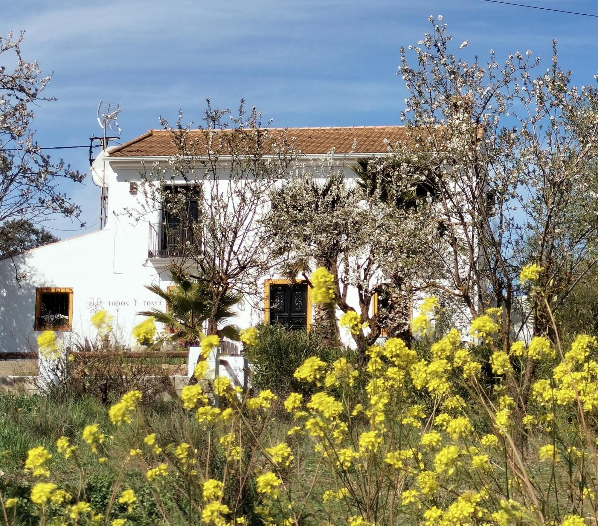 Bed and Breakfast Todos Y Tonya à Archidona Extérieur photo